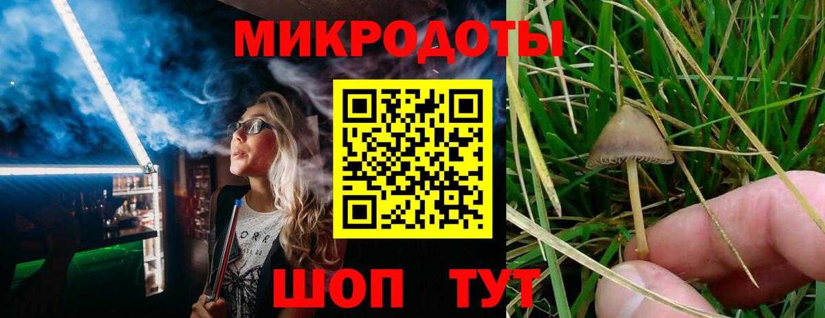 Ярцево  Галлюциногенные грибы мицелий  Вход с VPN 